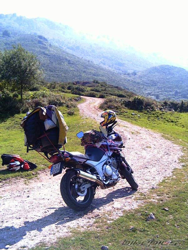 Bike Photo 323839
