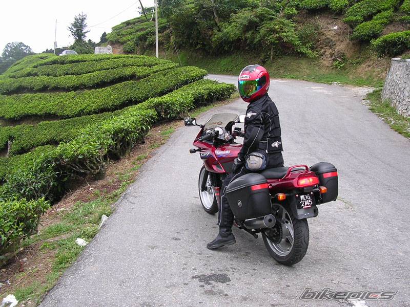 Bike Photo 323967