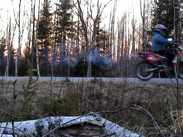 Photo 324437