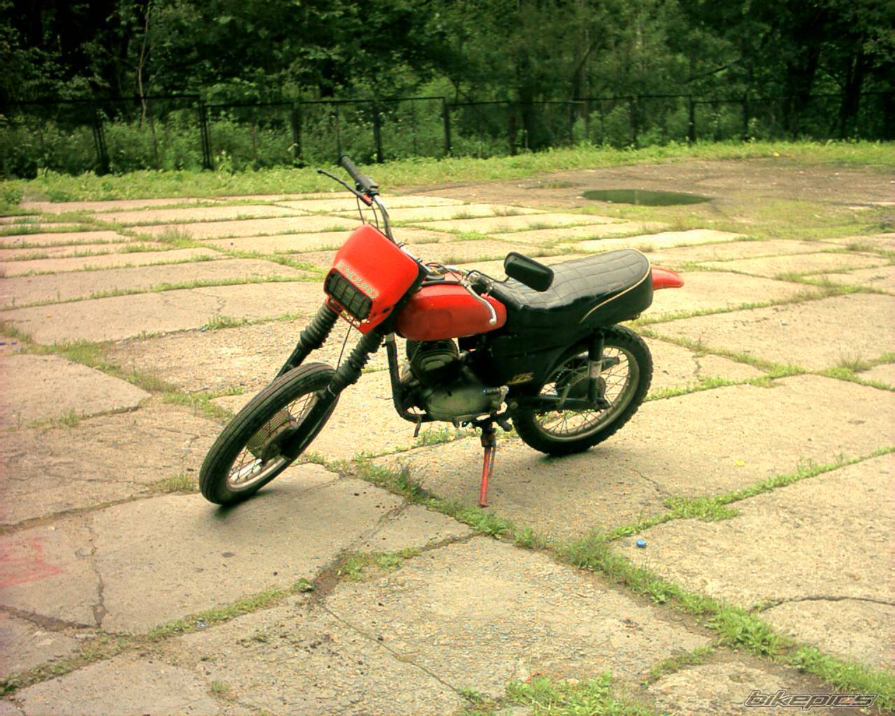 Photo 324503