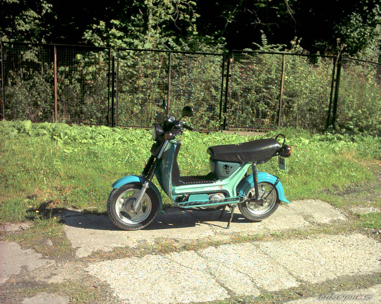 Photo 324508