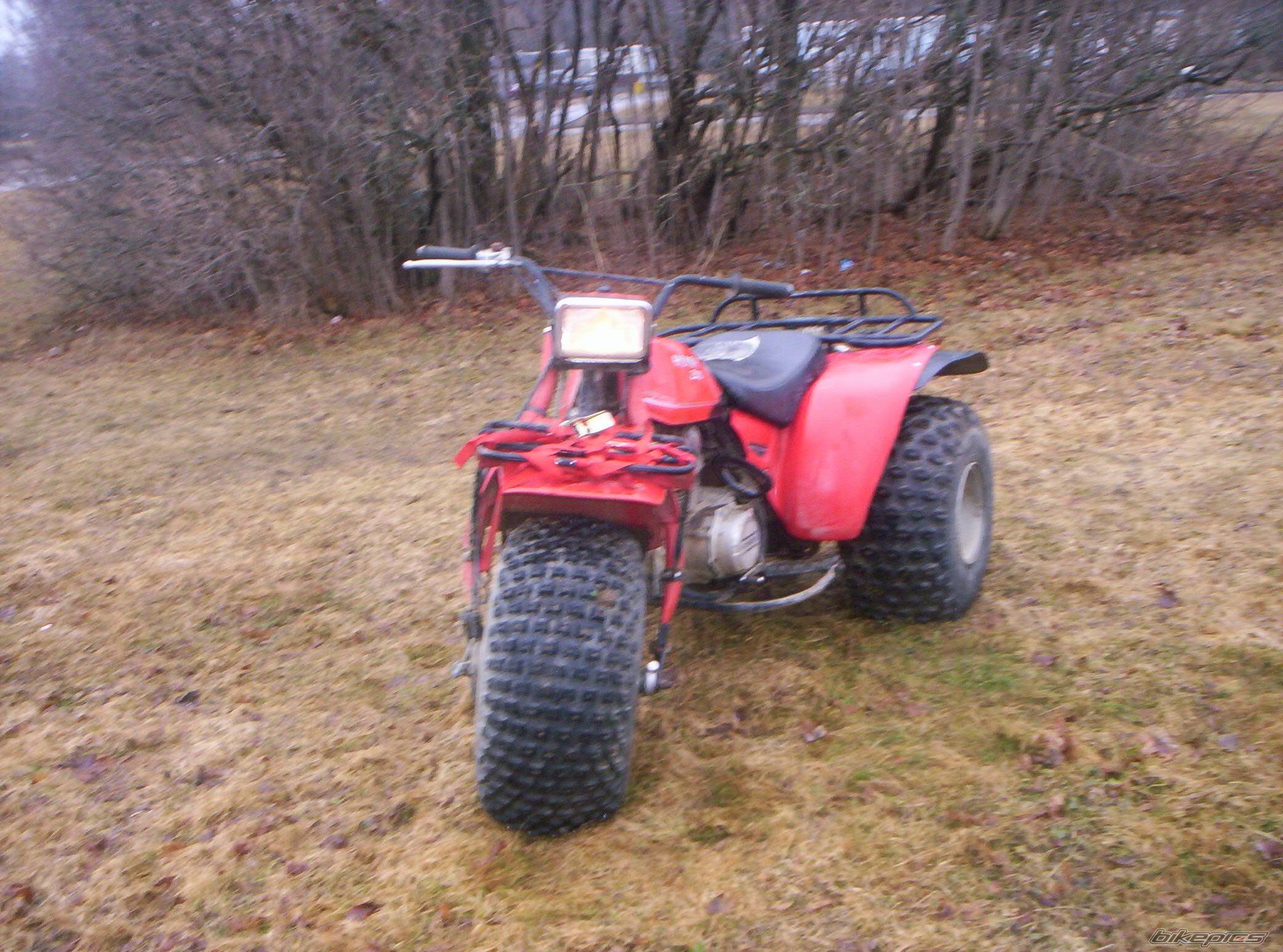 Photo 324608