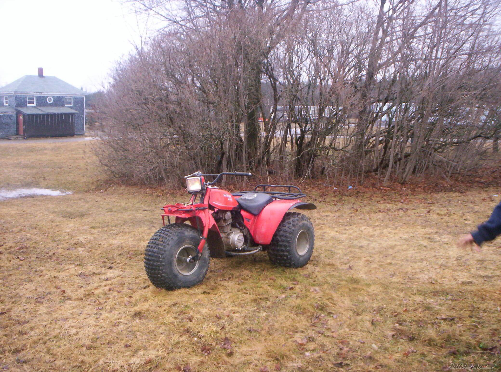 Photo 324611