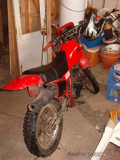 Photo 324635