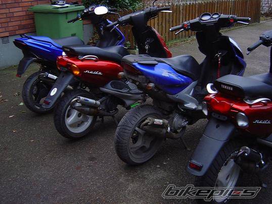 Photo 324749