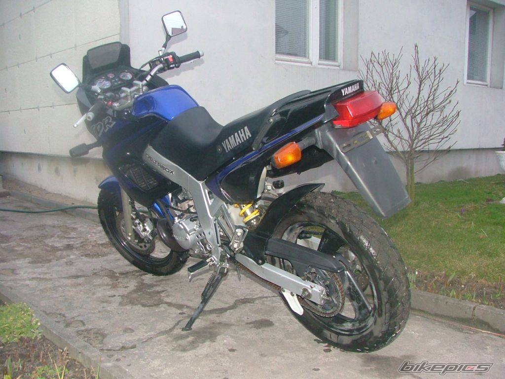 Photo 324954
