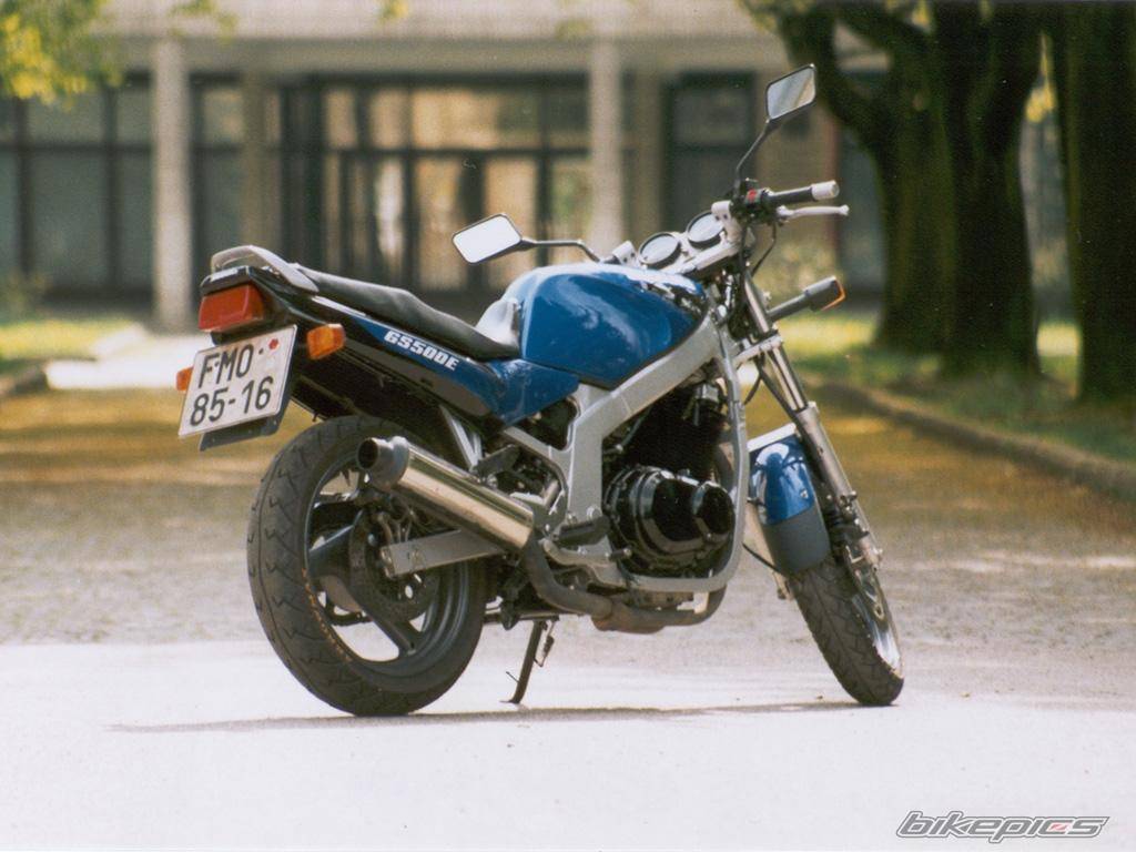 Photo 3250