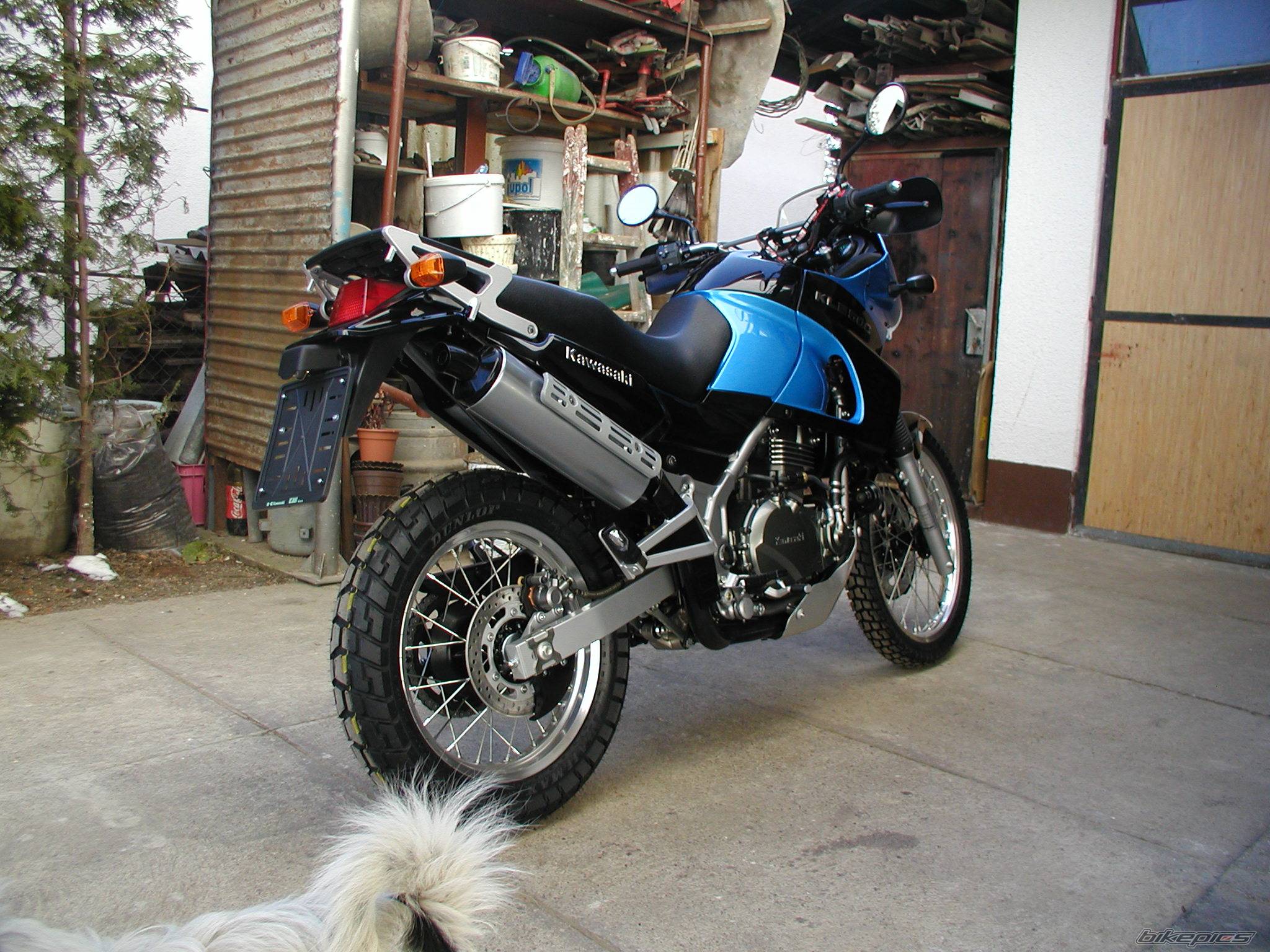 Bike Photo 325139