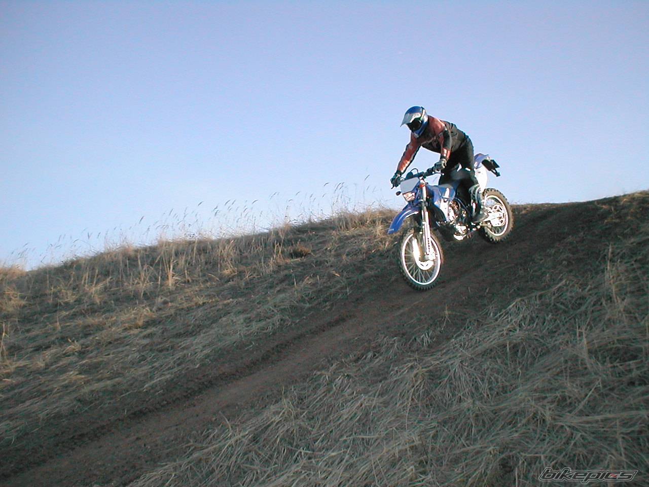 Photo 325177