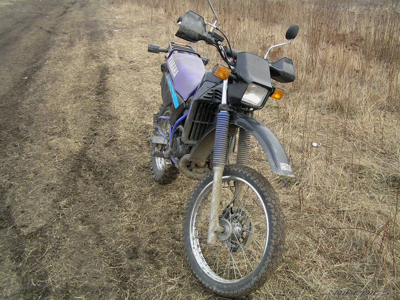 Photo 325267