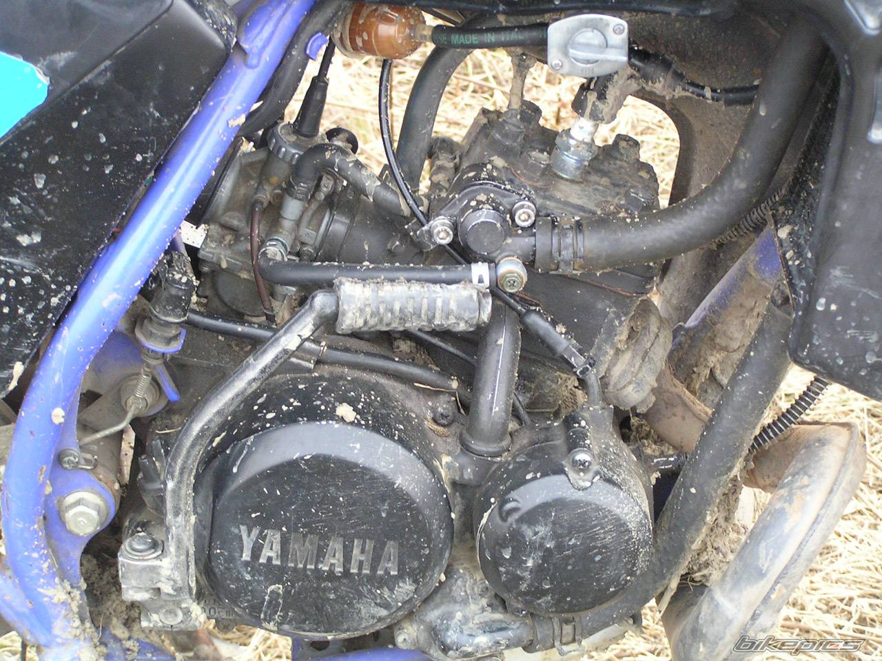 Bike Photo 325274