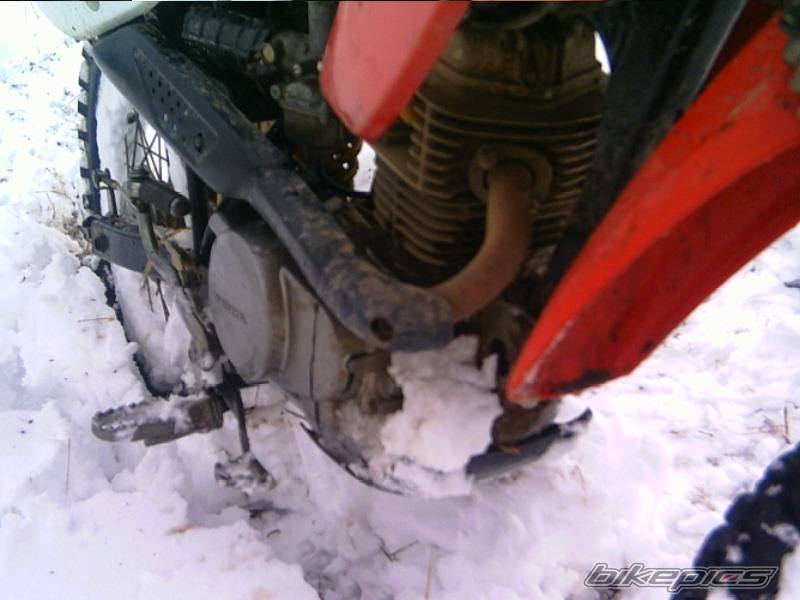 Photo 325381
