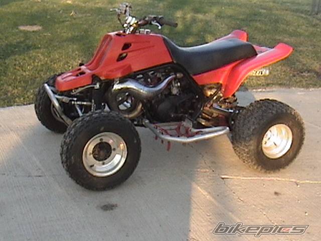 Photo 325409