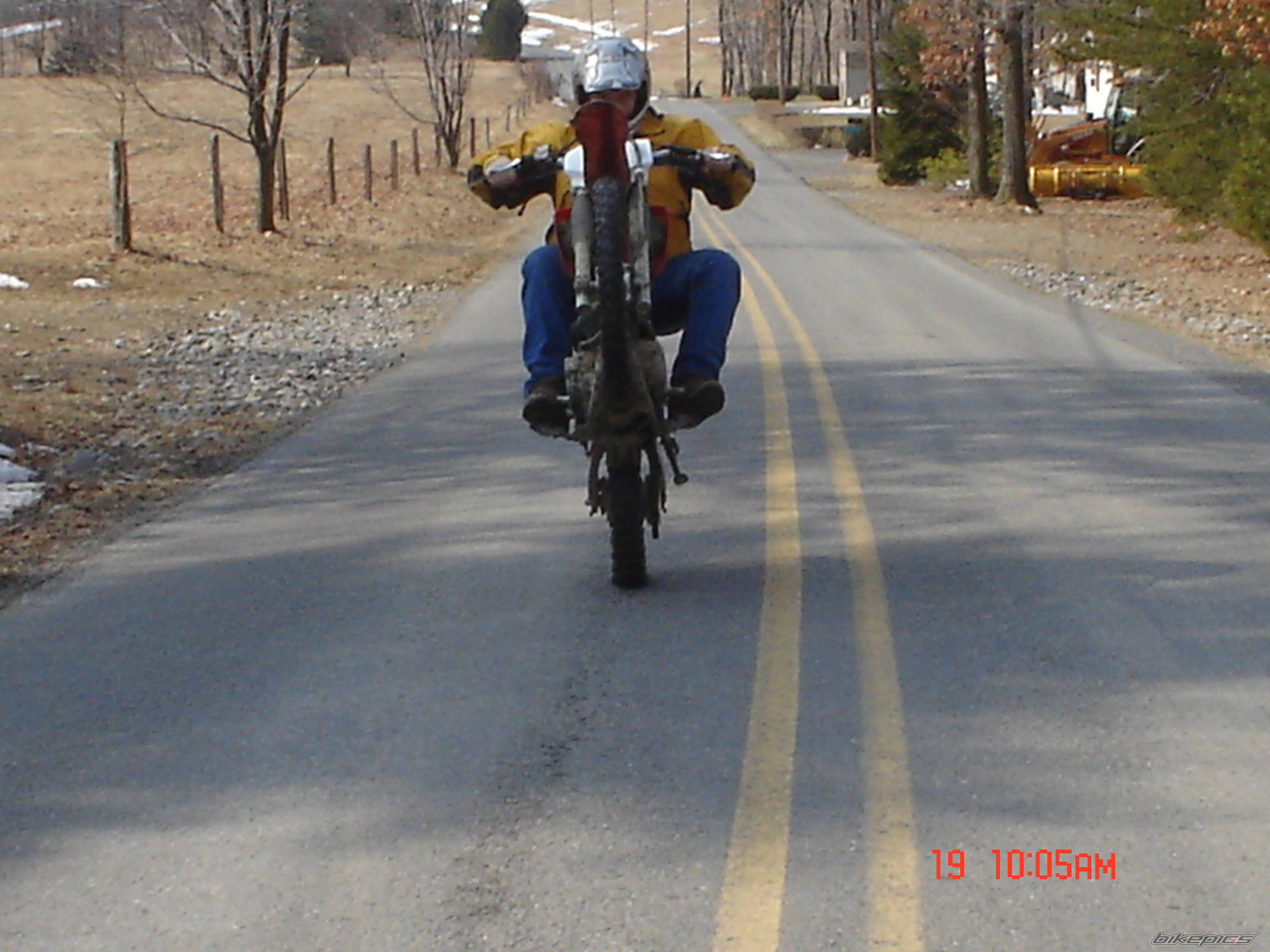 Photo 325421