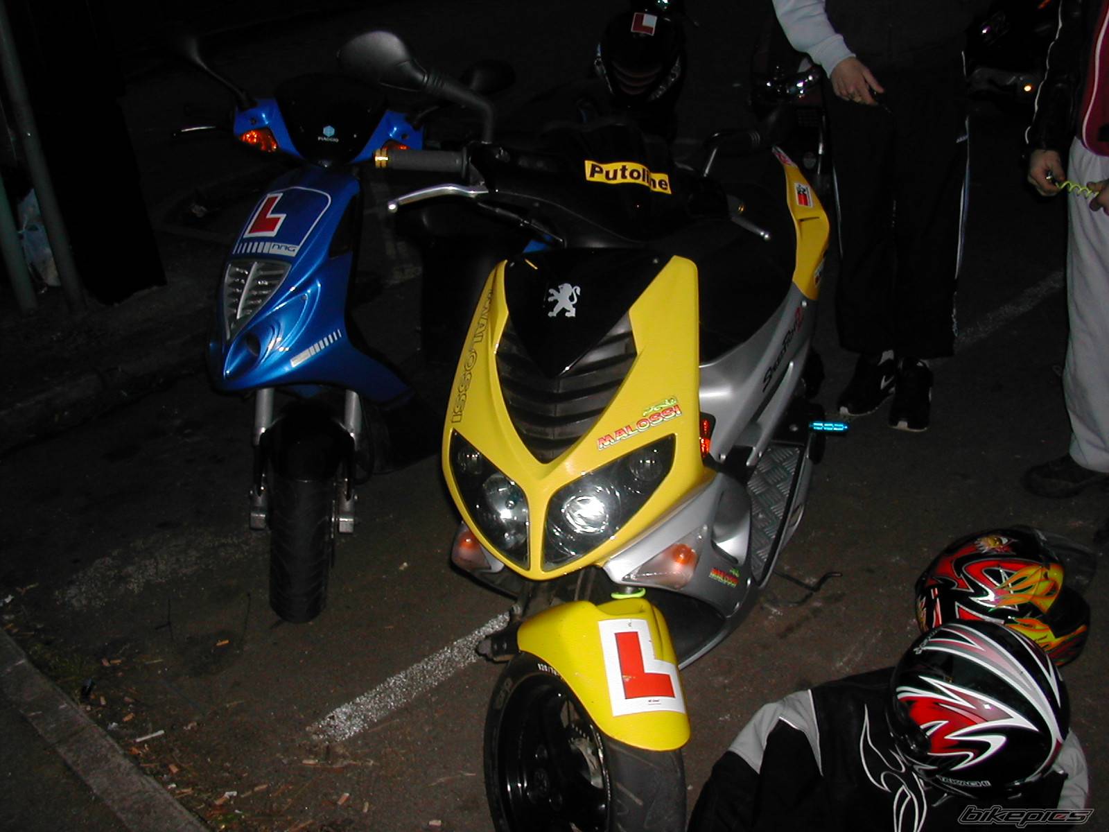 Photo 325532