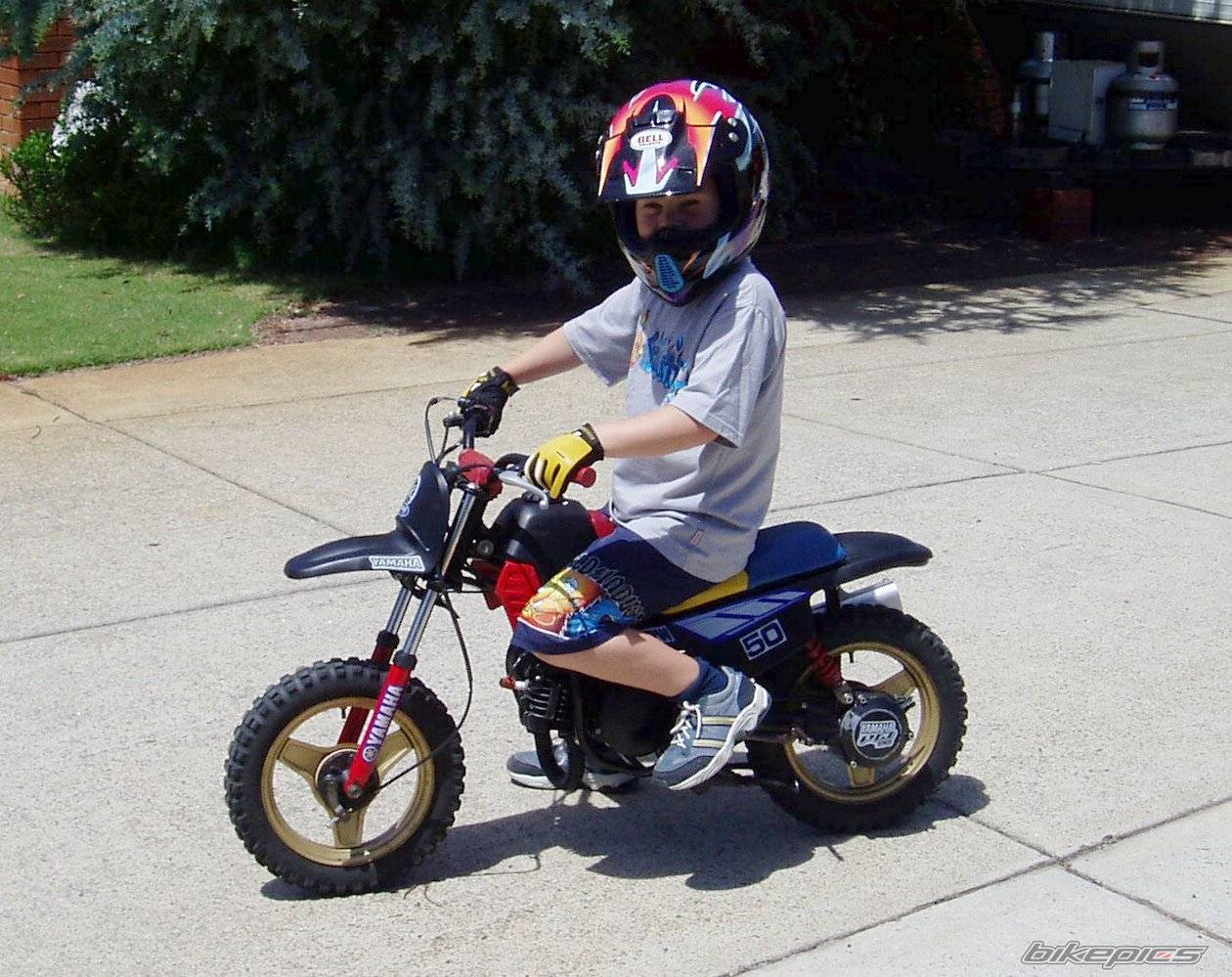 Bike Photo 325541