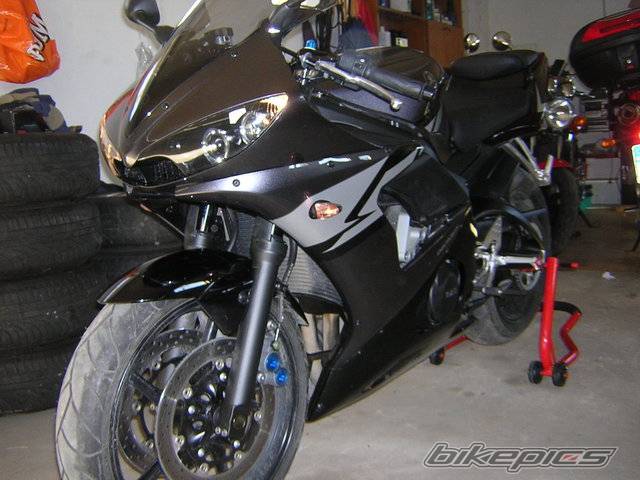 Photo 325599
