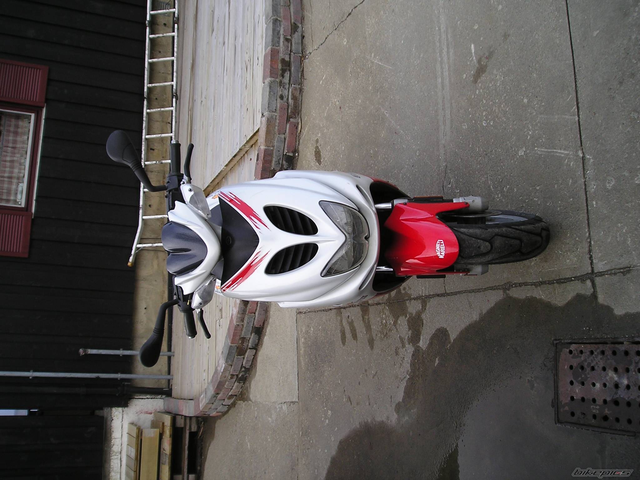 Photo 325702