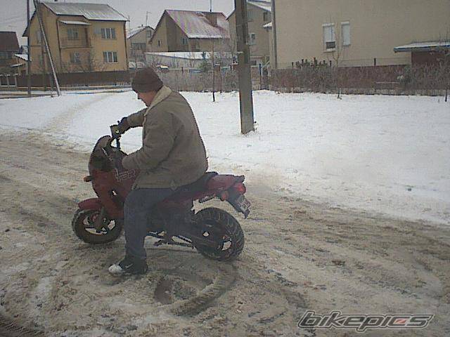 Photo 325708