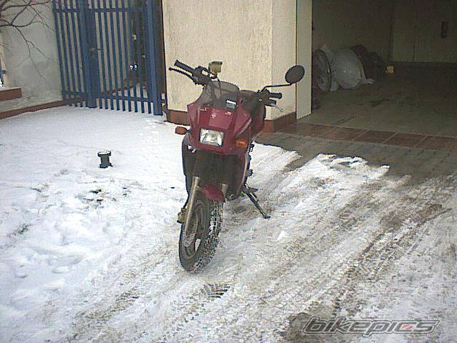 Photo 325709