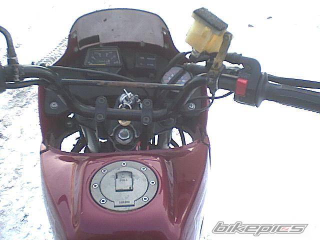 Photo 325712