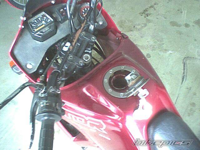 Photo 325715