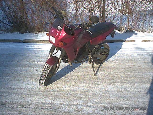 Photo 325720