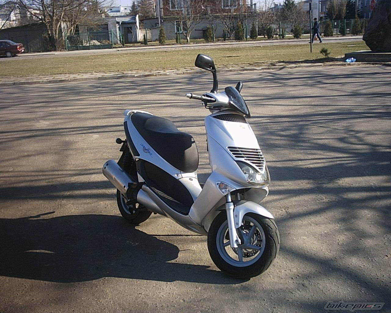 Photo 325726