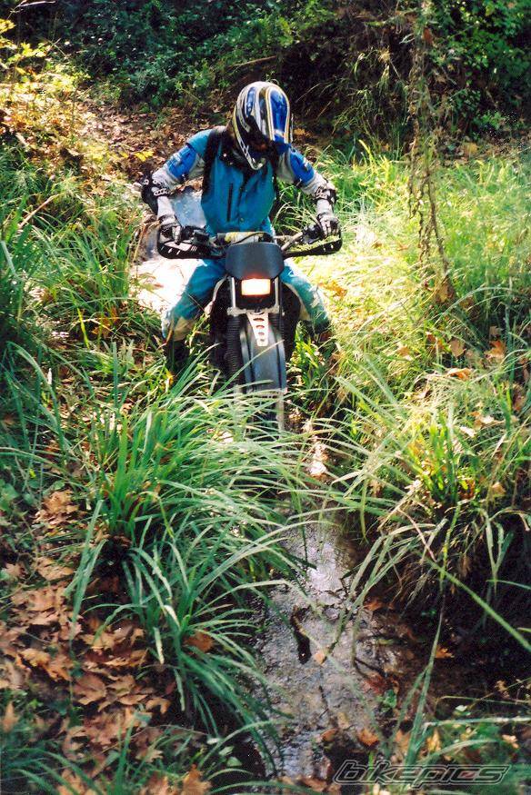 Bike Photo 325964