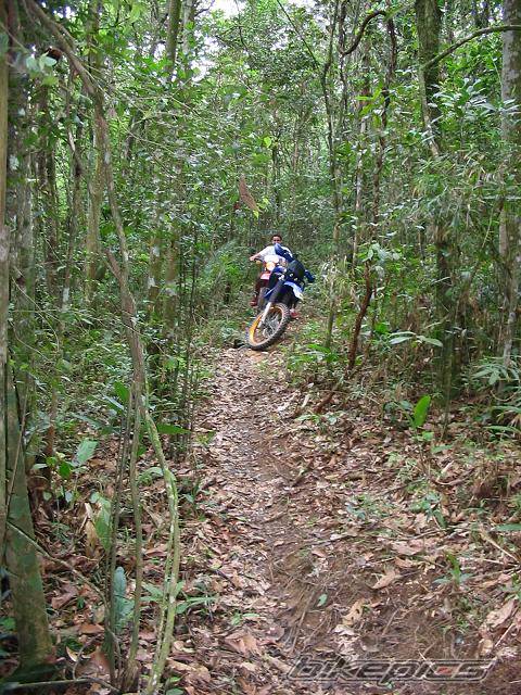 Bike Photo 326015