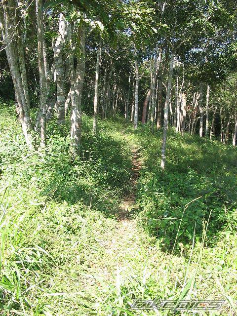 Bike Photo 326016