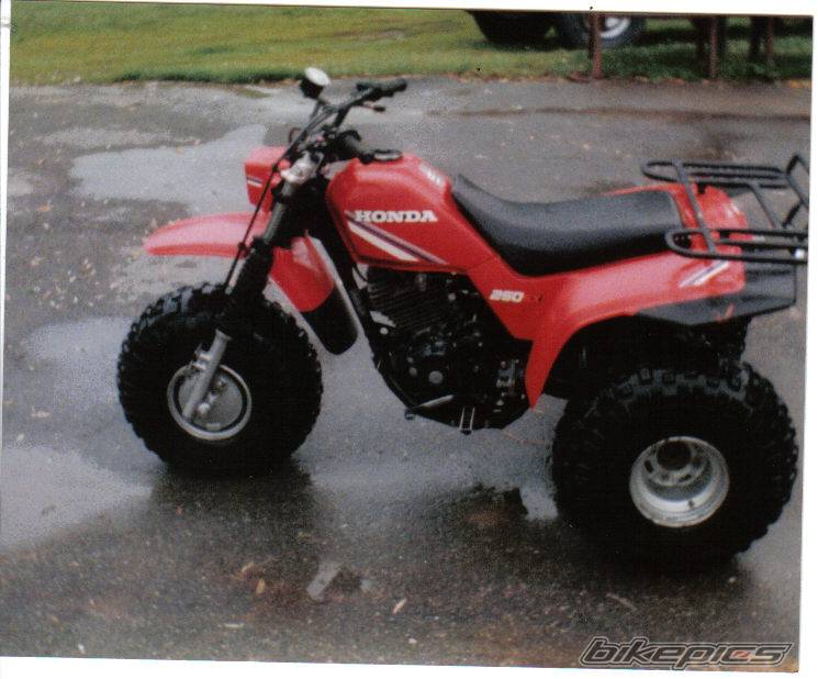 Bike Photo 326037