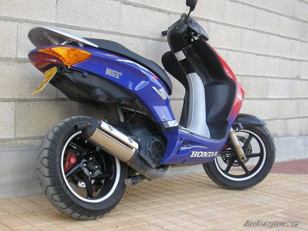 Photo 326553