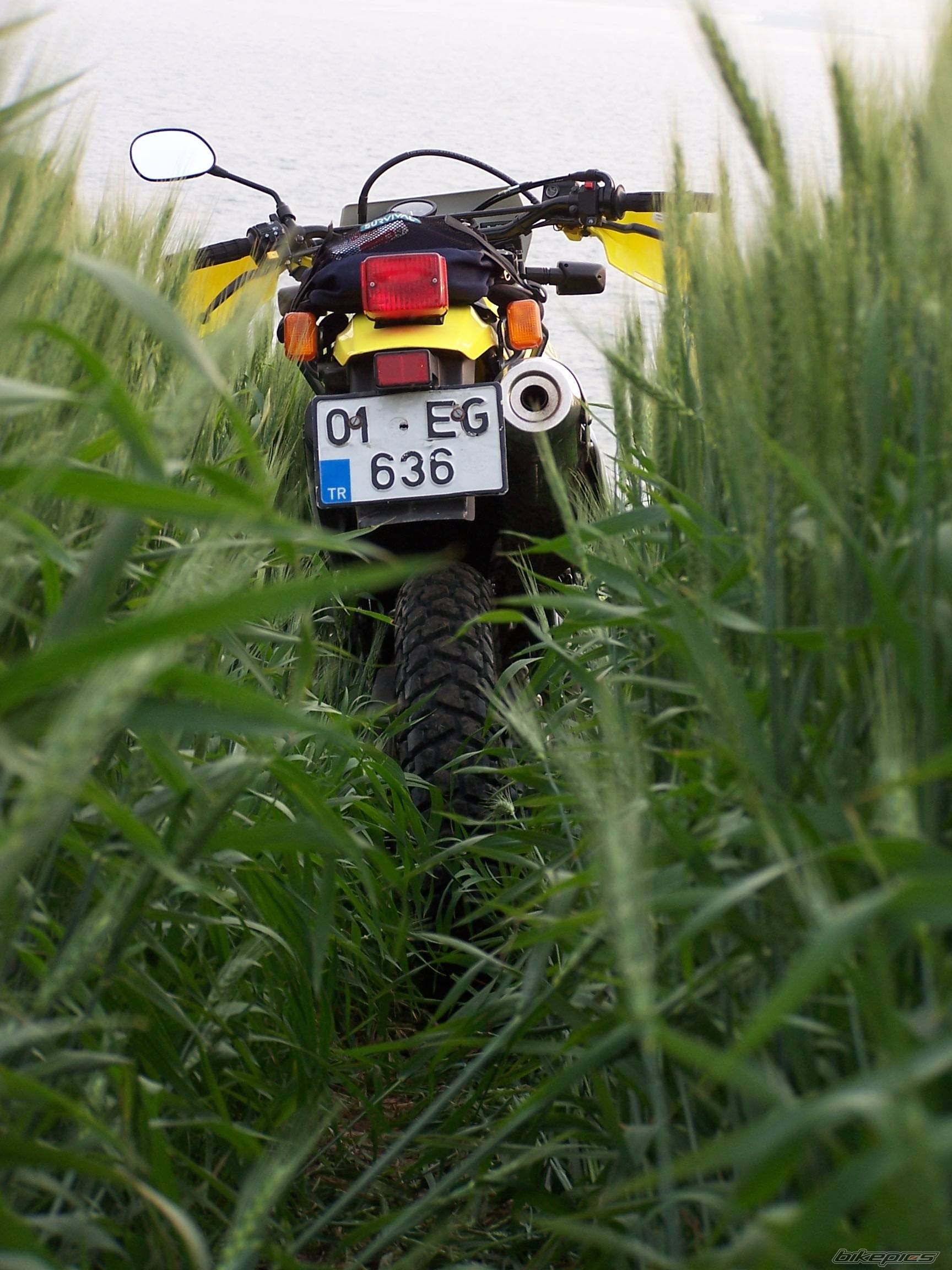 Bike Photo 326583