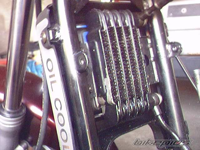 Bike Photo 326588