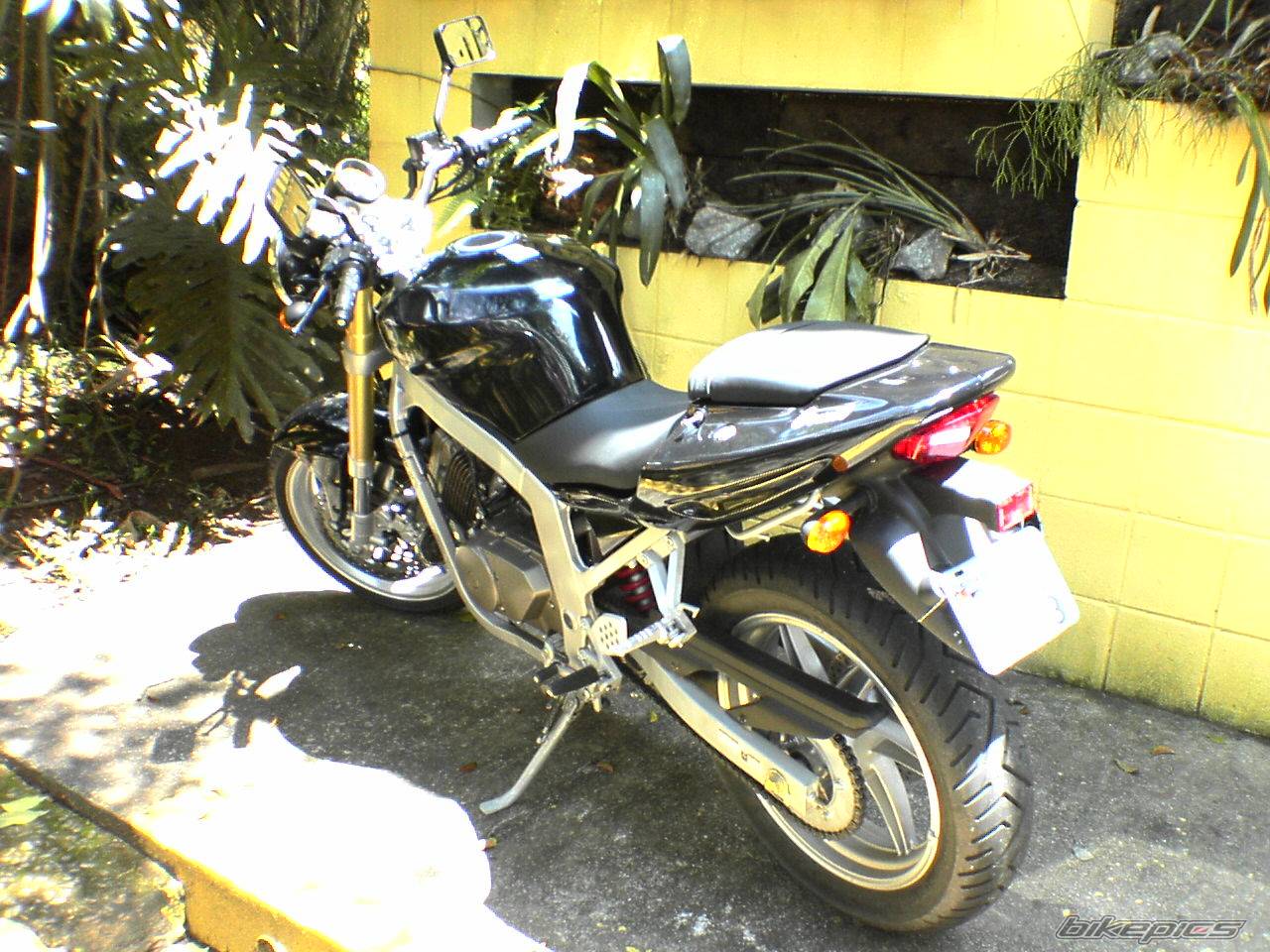 Photo 326634