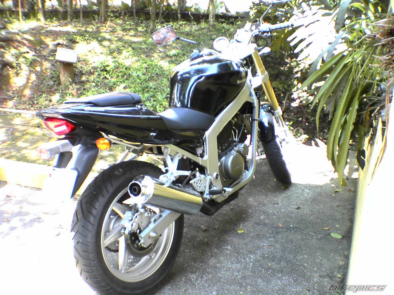 Photo 326635