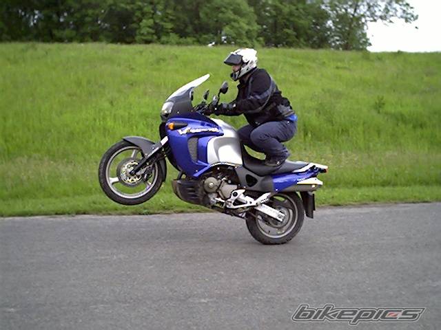 Photo 32679