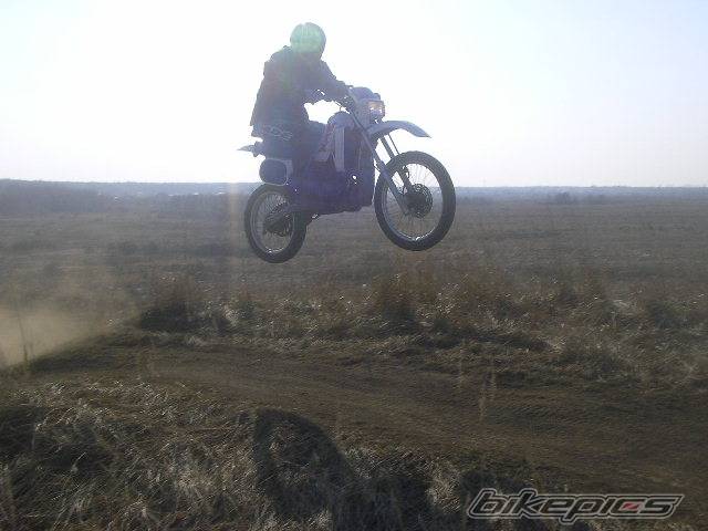 Photo 326981