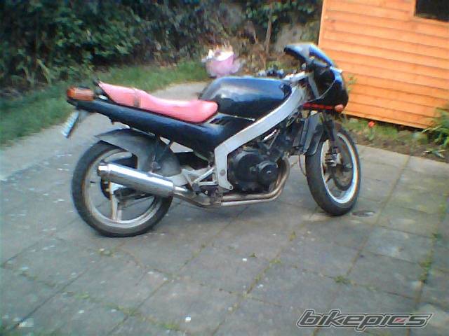 Photo 327267