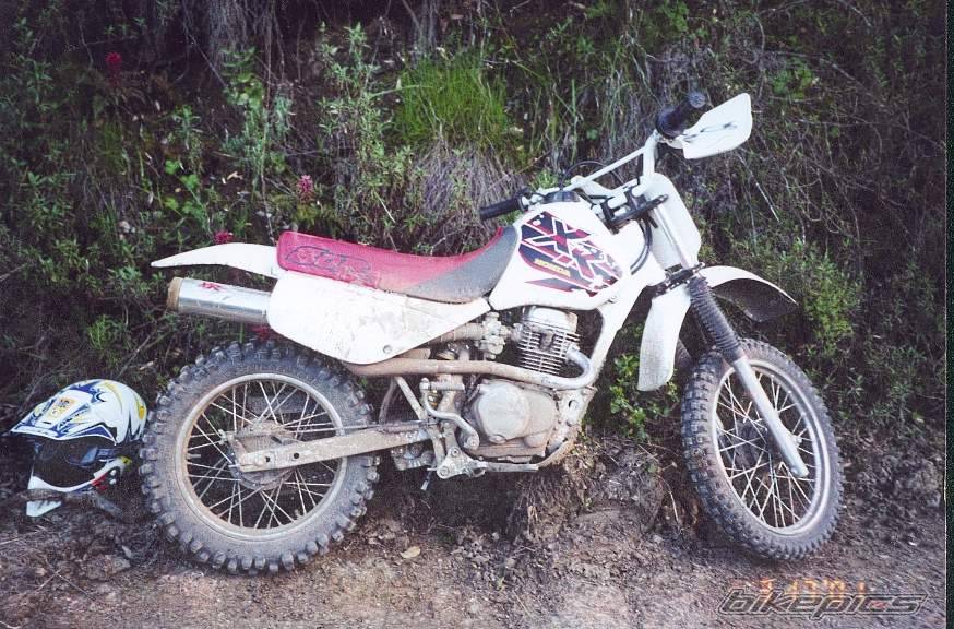 Bike Photo 32744