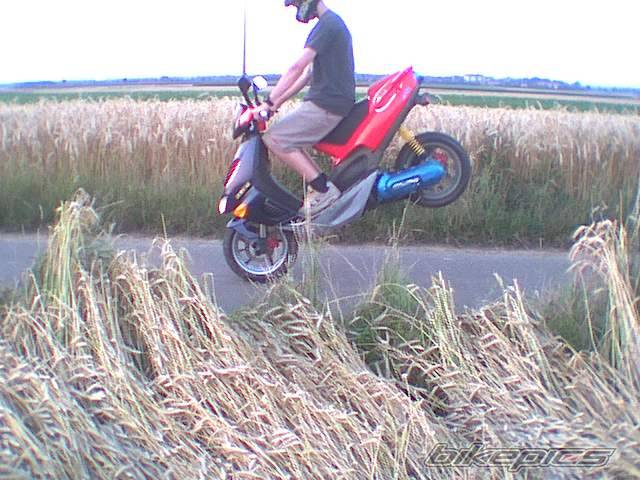 Photo 32750