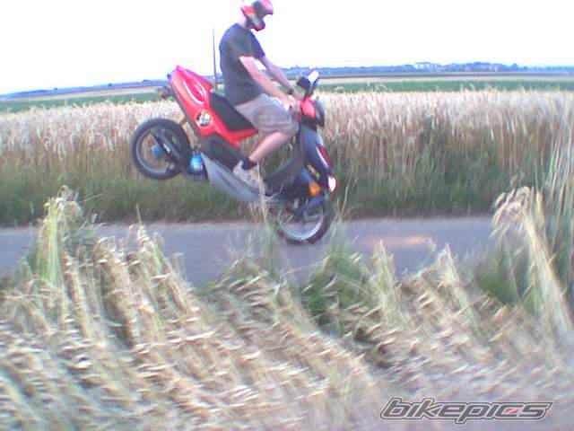 Photo 32751