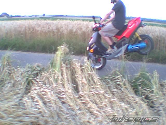 Photo 32752