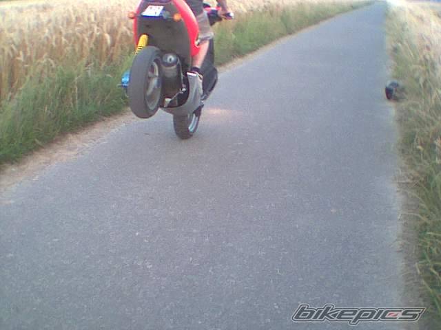 Photo 32754