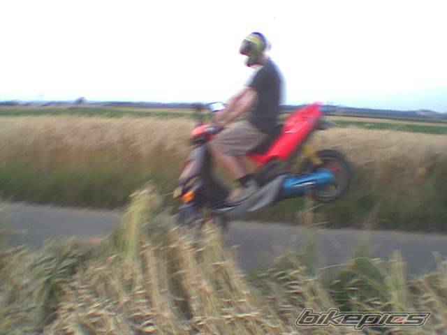 Photo 32756
