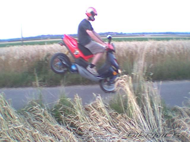 Photo 32757