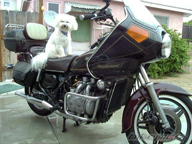 Photo 32758