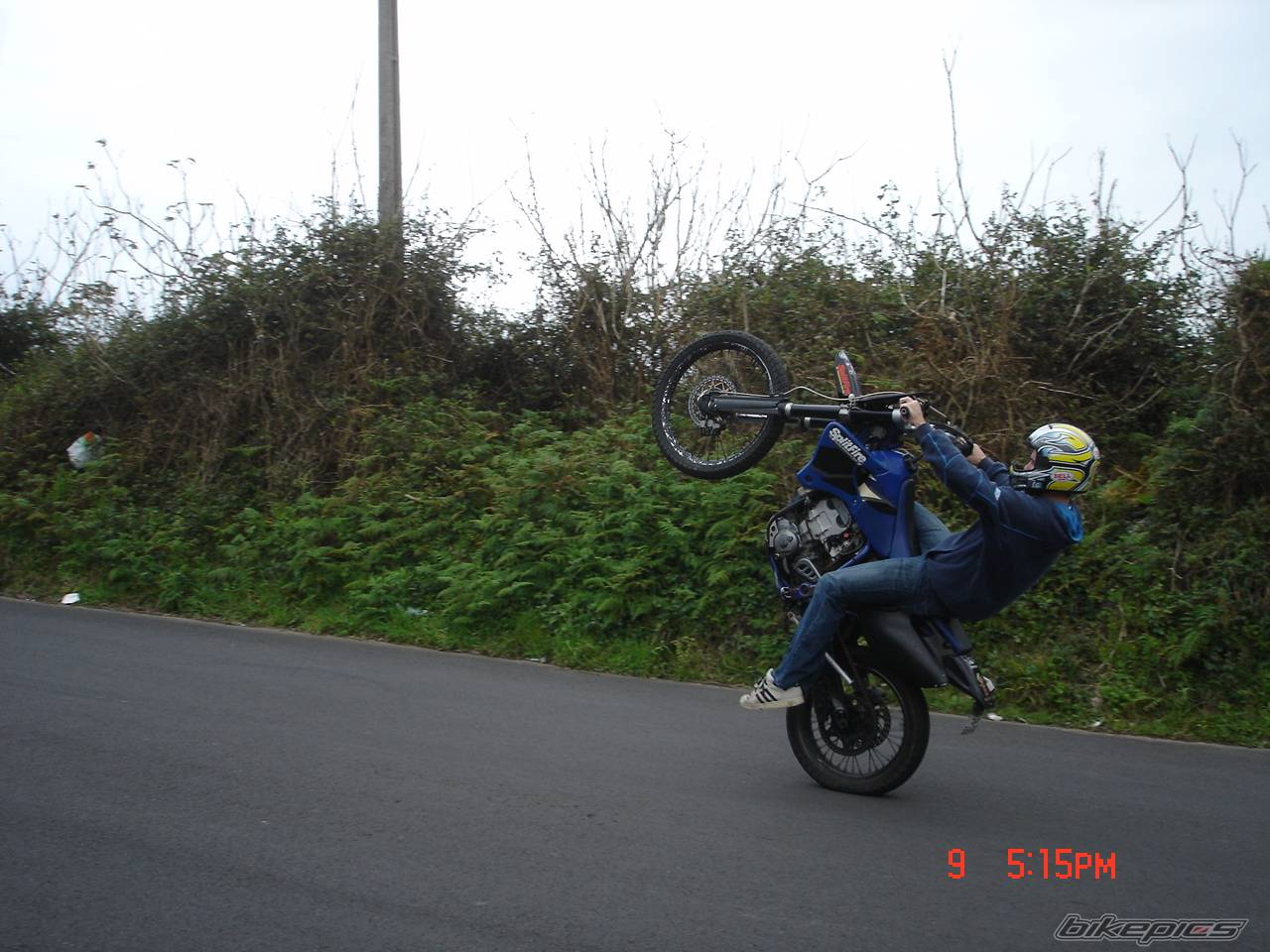 Photo 327952