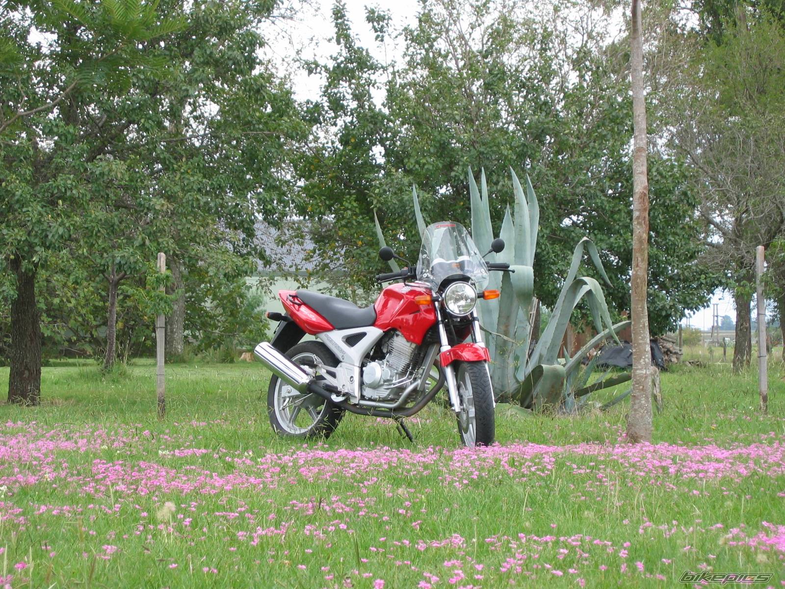 Bike Photo 327987